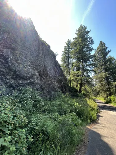 Best Hikes and Trails in Lincoln Park