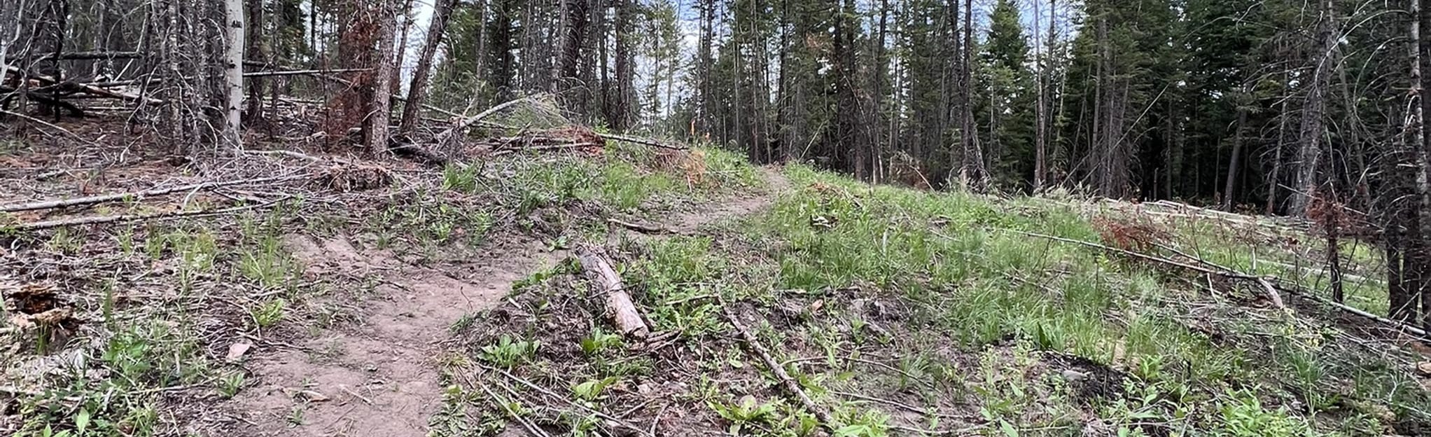 Lac La Hache Interpretive Trail, British Columbia, Canada 18 Reviews