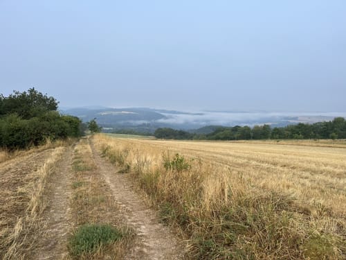 Zum Schafberg und nach Wildenbungert