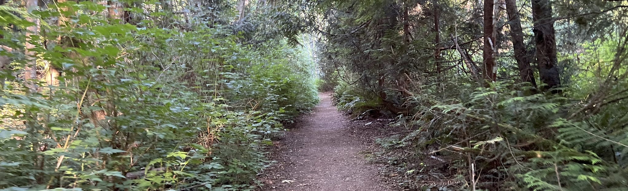 Triangle Lake Little Knives Roller Coaster Northwood Trail 43 Reviews, Map British