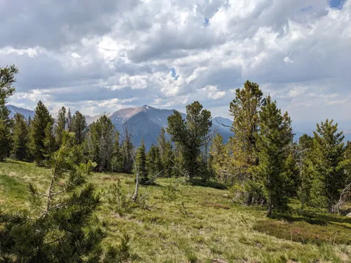 10 Best Hikes and Trails in Wallowa Whitman National Forest | AllTrails