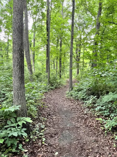 Best Hikes and Trails in Centreville | AllTrails