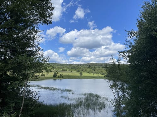 Lammersdorf-Kalterherberg (Teilstück Vennbahn)