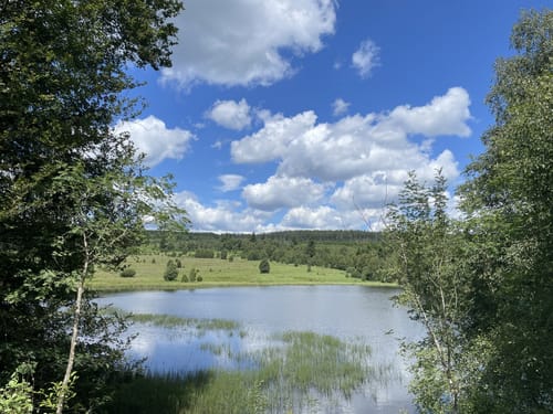Lammersdorf-Kalterherberg (Teilstück Vennbahn)