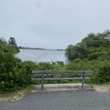 Shining Sea Bikeway, Massachusetts - 993 Reviews, Map | AllTrails