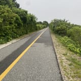 Shining Sea Bikeway, Massachusetts - 993 Reviews, Map | AllTrails