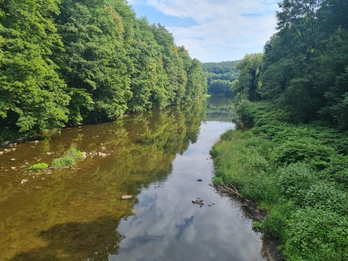 Rundweg Schweizerwald