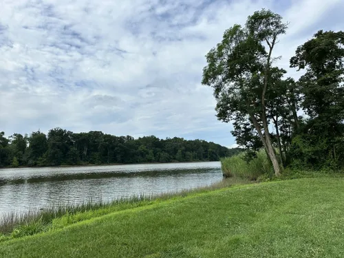 Escape to Serenity: Maryland's Bohemia River State Park