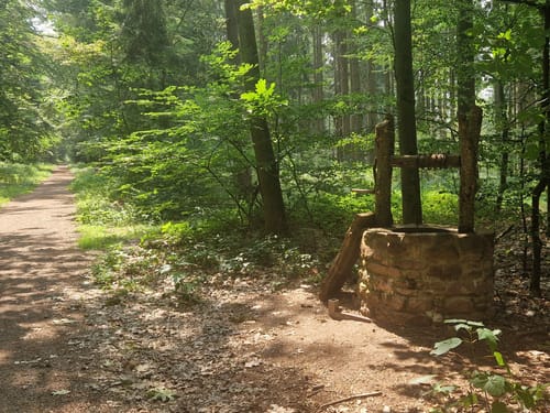 Hermannskoppe - Neuhof - Rengersbrunn