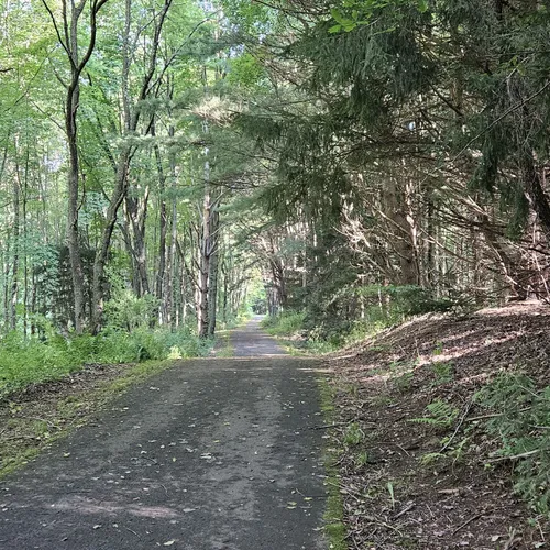 2023 Best Paved Trails in Sandy Lake AllTrails