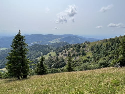 Belchensteig (Genießerpfad)