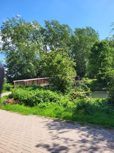 Nordliche Boberger Niederung