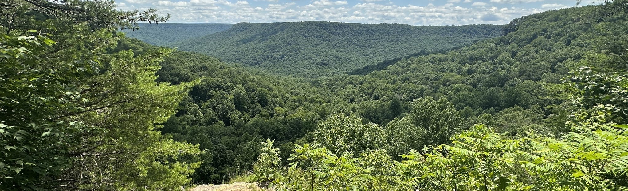 Saw Mill Campground via Stone Door, Big Creek Gulf, and Connector Trail