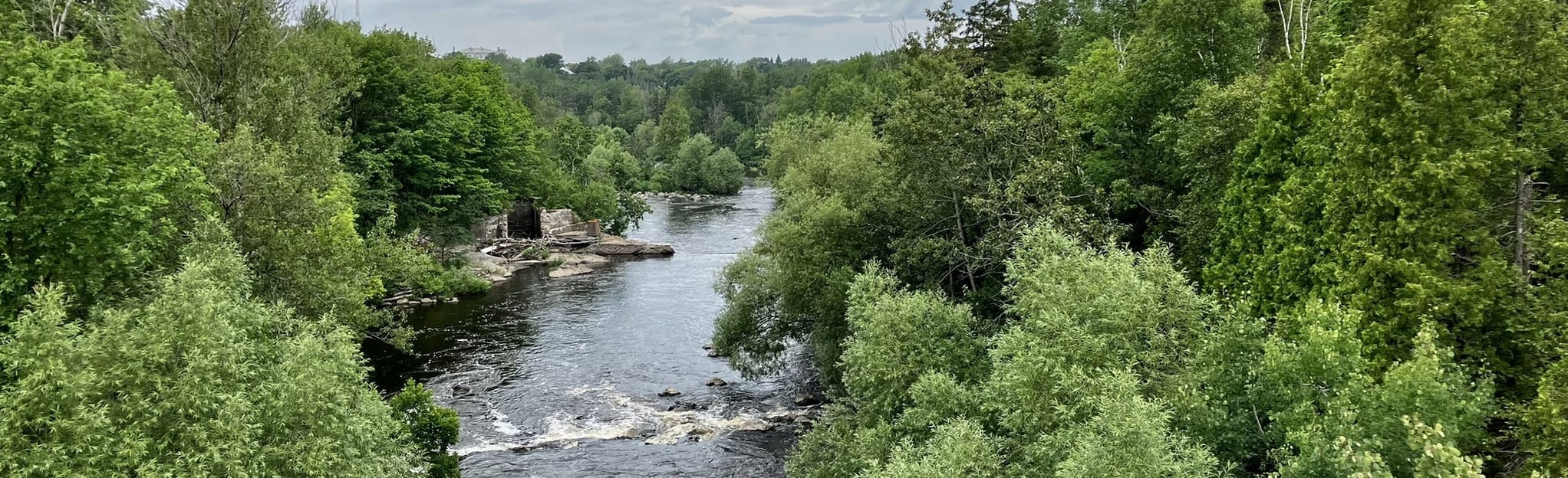 Pagaïe de la RivièreduLoup Nord FleuveSaintLaurent 153 Photos Quebec, Canada AllTrails