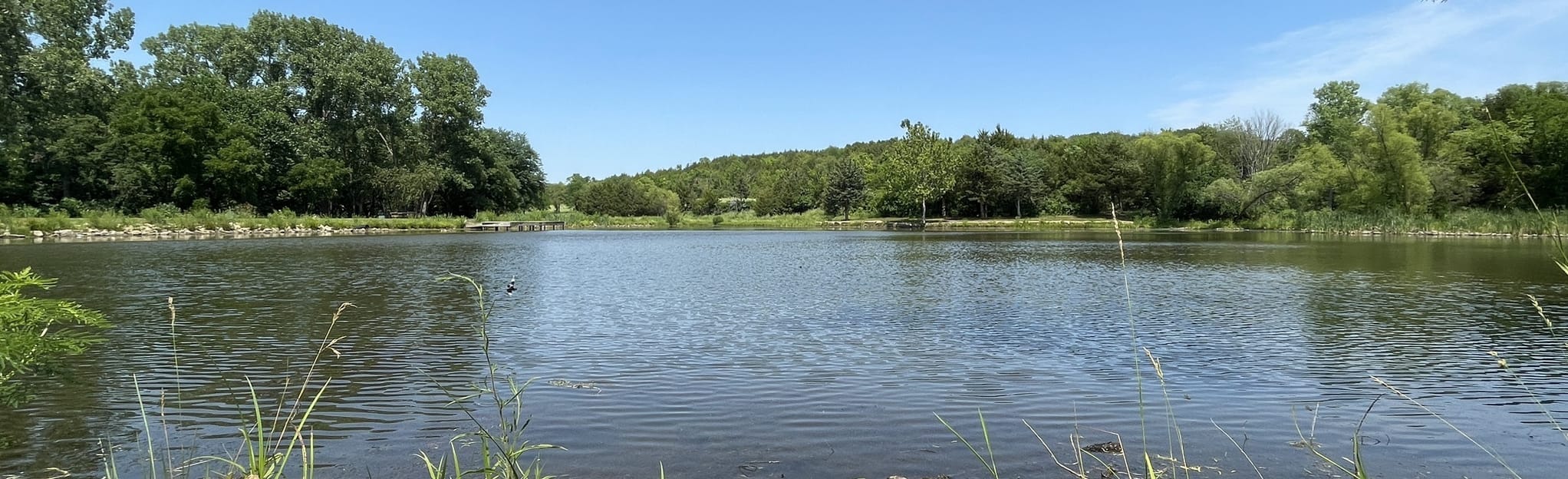 Clarion Woods Trail, Kansas 34 Reviews, Map AllTrails