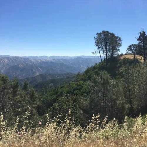 Best Off Road Driving Trails in Santa Ynez | AllTrails