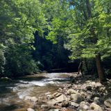 Virginia Creeper Trail: Damascus to Whitetop, Virginia - 802 Reviews ...