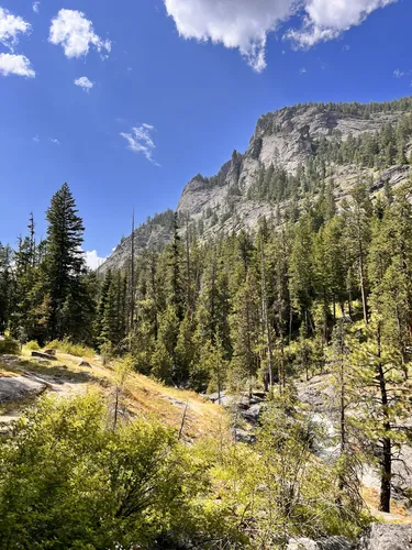 10 Best Wild Flowers Trails in Bitterroot National Forest | AllTrails