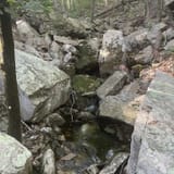 Devil's Den Preserve Trail, Connecticut - 549 Reviews, Map | AllTrails