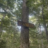 Devil's Den Preserve Trail, Connecticut - 549 Reviews, Map | AllTrails