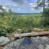 Devil's Den Preserve Trail, Connecticut - 615 Reviews, Map | AllTrails