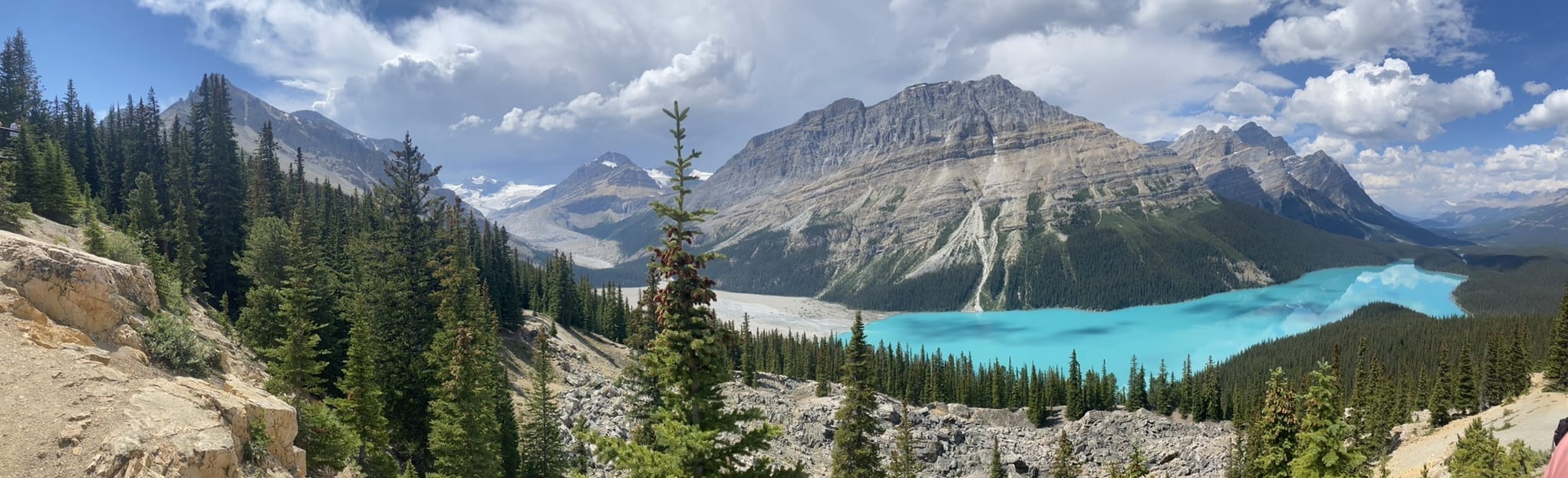 Peyto Lake Viewpoint, Alberta, Canada - 828 Reviews, Map | AllTrails