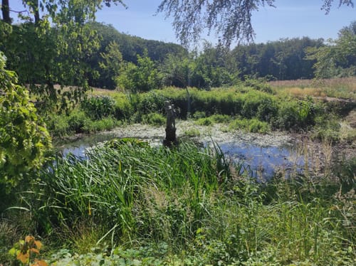 Eifelverein Langerwehe Wanderweg 11