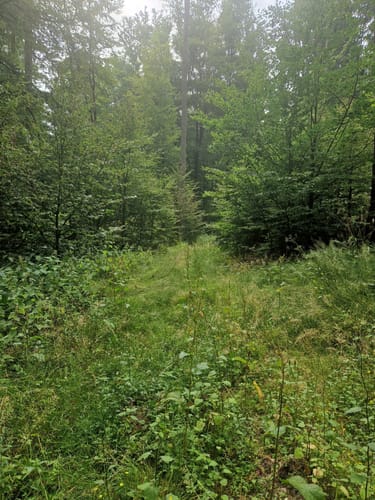 Hermannskoppe - Neuhof - Rengersbrunn