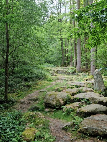 Dammbach: Zwischen Scharstein und Geishöhe