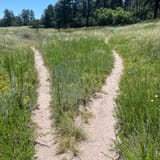 Memmen Ridge Open Space Trail, Colorado - 266 Reviews, Map | AllTrails