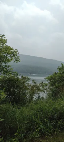 Best Hikes and Trails in Bald Eagle State Park | AllTrails