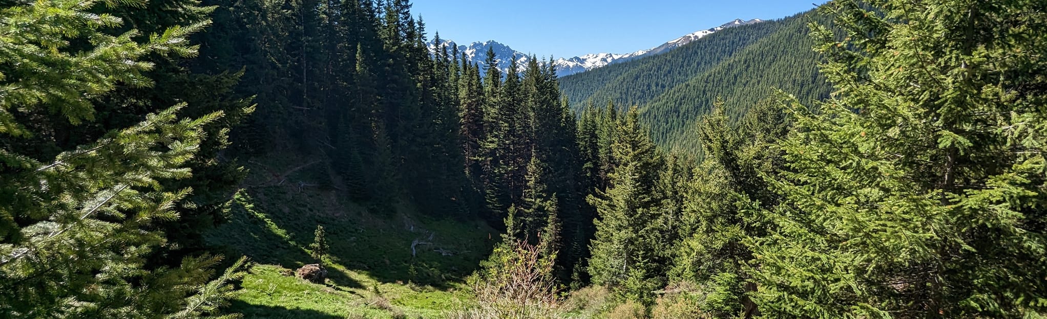 Upper Maynard Burn Way Trail 54 Reviews, Map Washington AllTrails