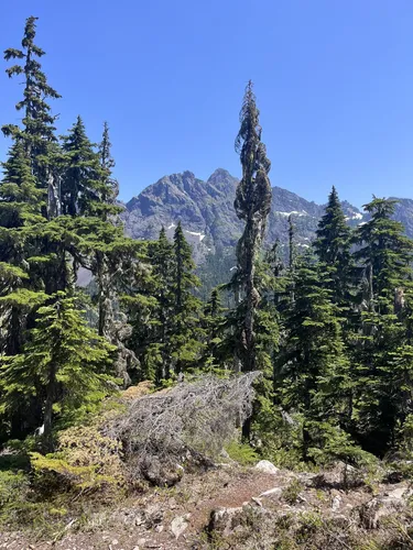 Best Hikes and Trails in Mount Skokomish Wilderness AllTrails
