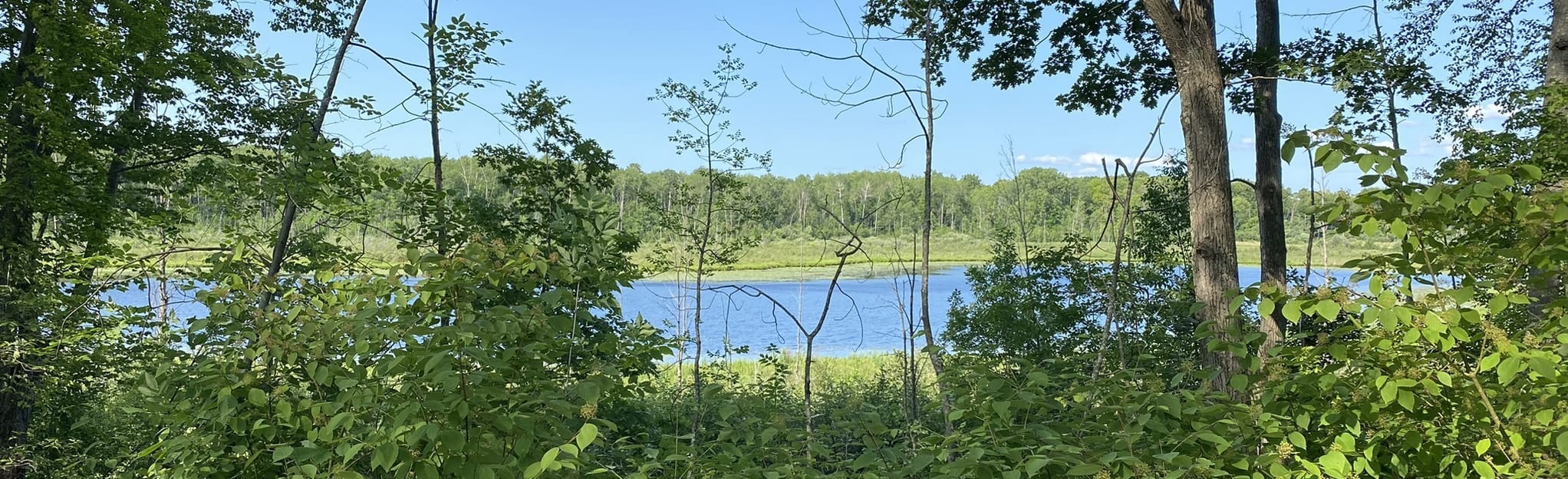Iron Belle Trail at Loon Lake 61 Fotos Michigan AllTrails