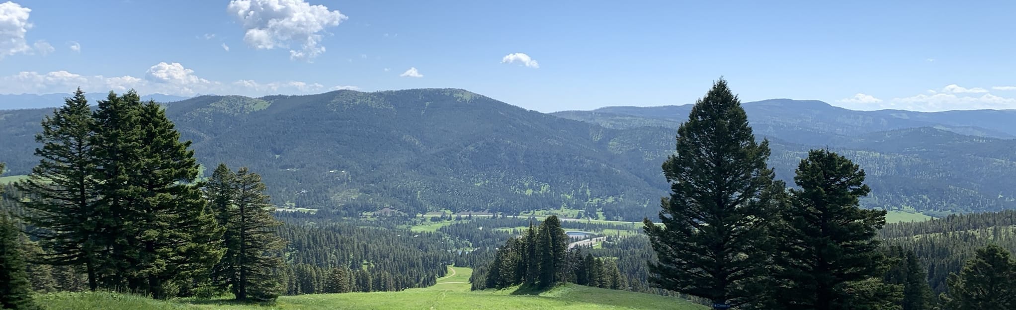 Bridger Bowl Ridge Trail 86 Reviews, Map Montana AllTrails