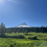 Elk Meadows South Trail, Oregon - 451 Reviews, Map | AllTrails