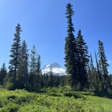 Elk Meadows South Trail, Oregon - 451 Reviews, Map | AllTrails