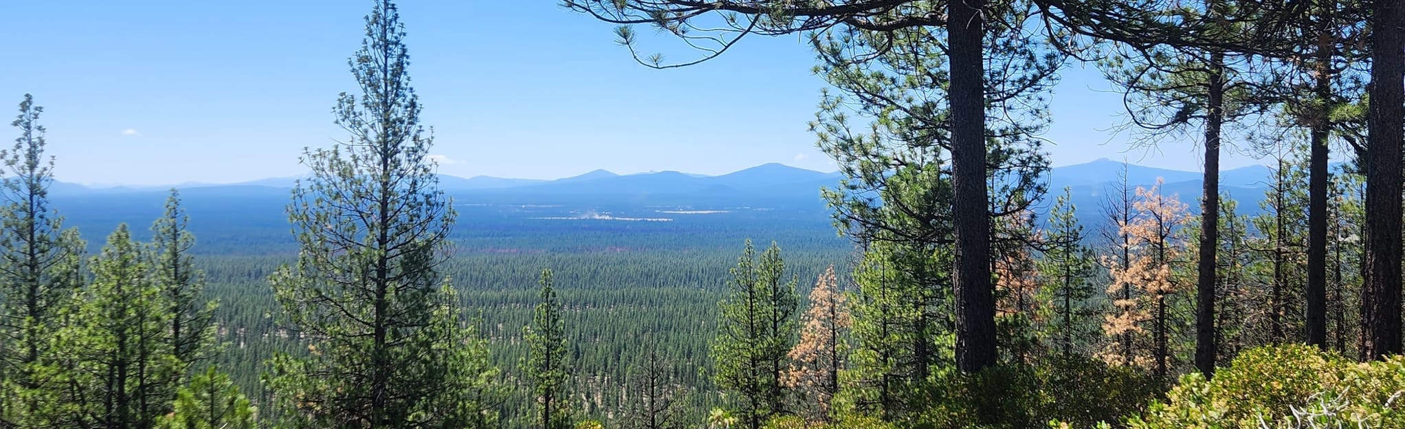 McKay Butte Trail, Oregon 27 Reviews, Map AllTrails
