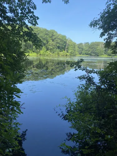 Best Hikes and Trails in Mono Pond State Park Reserve | AllTrails