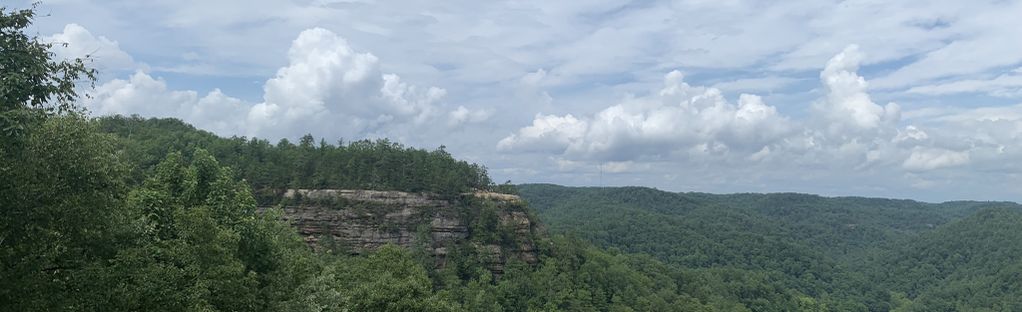 are dogs allowed at natural bridge ky