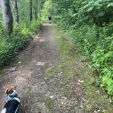 Trout Pond and Mud Pond Loop, New York - 152 Reviews, Map | AllTrails