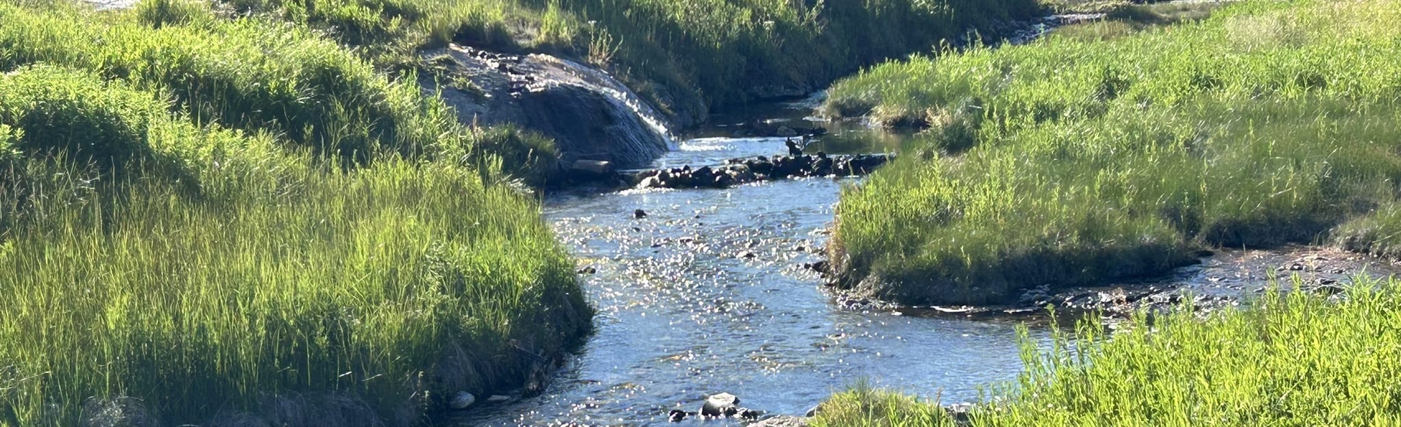 Huckleberry Hot Springs, Wyoming - 128 Reviews, Map | AllTrails