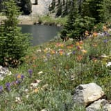 Mill Creek Trail, Idaho - 18 Reviews, Map | AllTrails