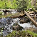 Mill Creek Trail, Idaho - 18 Reviews, Map | AllTrails