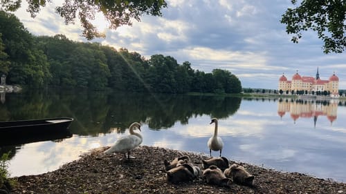 Moritzburger Teichwanderung