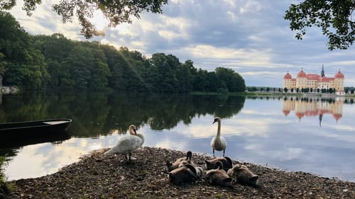 Moritzburger Teichwanderung