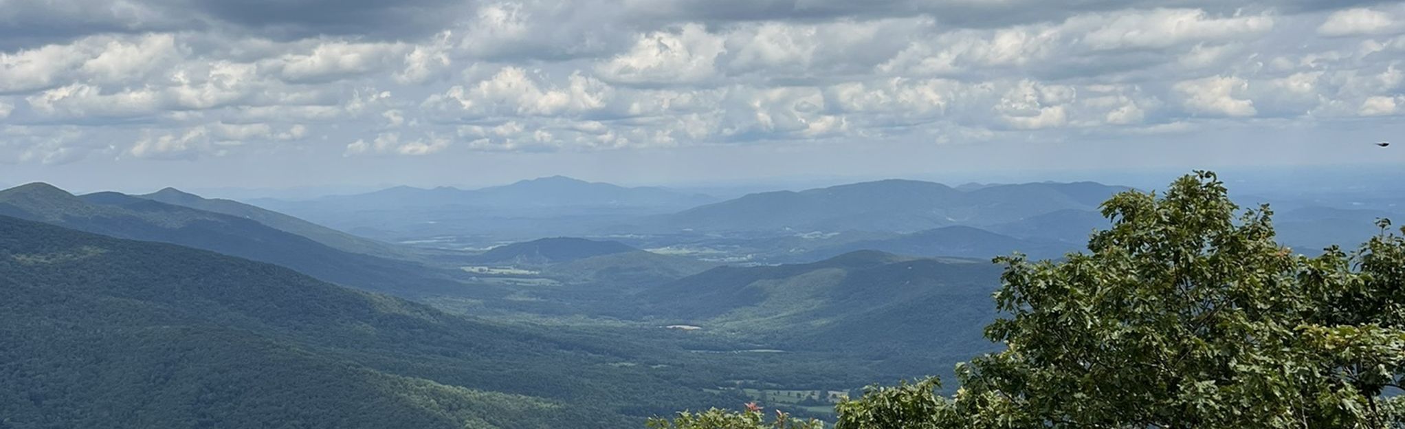 The Pinnacle and Flat Top Mountain, Virginia - 471 Reviews, Map | AllTrails