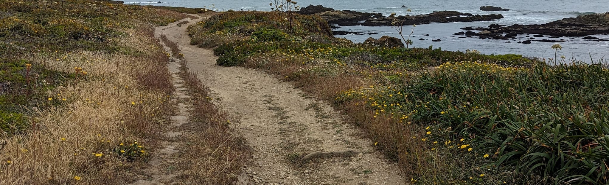 Bean Hollow Beach Trail, California 169 Reviews, Map AllTrails