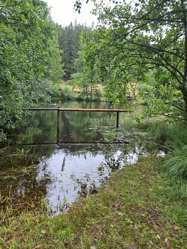 EifelSchleife Moorpfad Dahlem