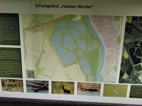 Grüner Ring Nord Wanderung Nienburg